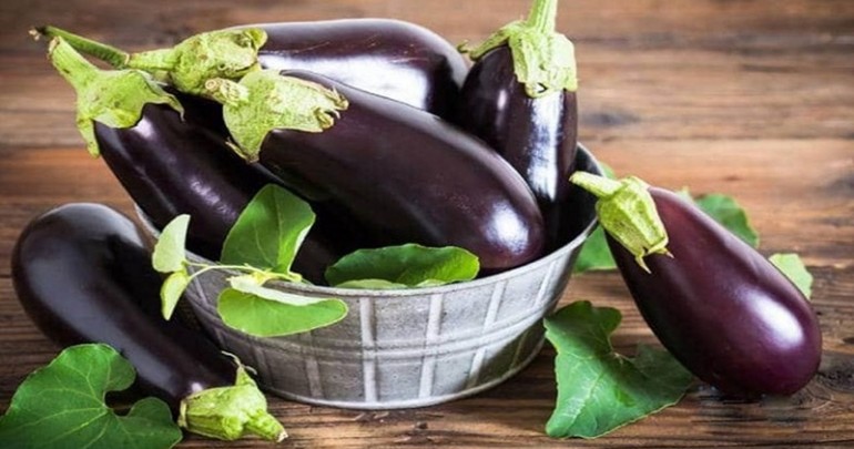 Quy Trình Sản Xuất Cây Cà Tím