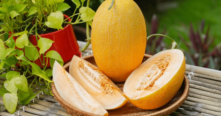 Quy Trình Sản Xuất Dưa Vàng