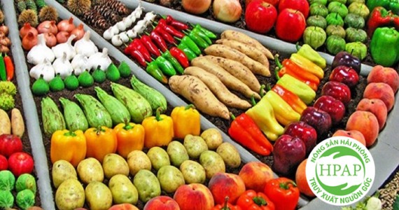 HPAP – Hệ Sinh Thái Truy Xuất Nguồn Gốc Nông Sản Hải Phòng of chicken meat 1