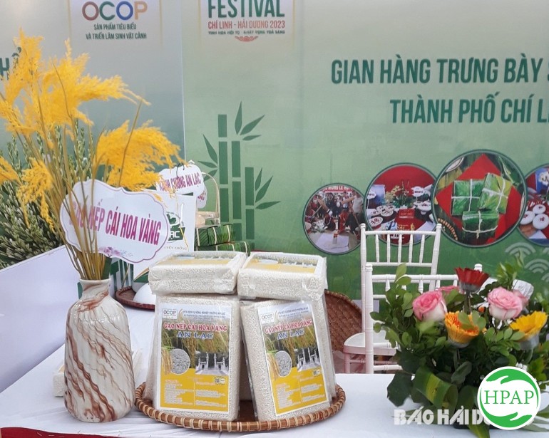 99-nep-cai-hoa-vang-an-lac--hat-ngoc-cua-dong-dat-hai-phong-2.jpg