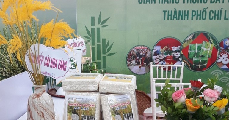 Nếp Cái Hoa Vàng An Lạc – Hạt Ngọc Của Đồng Đất Hải Phòng