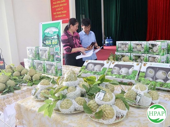 8-na-bo-lien-khe-5.jpg