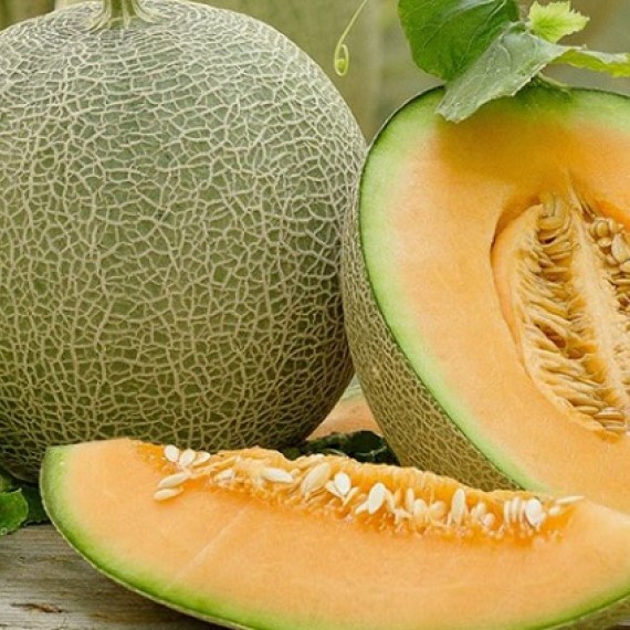 Dưa Lưới