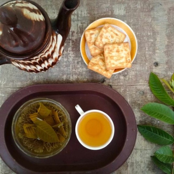 Trà Búp Ổi